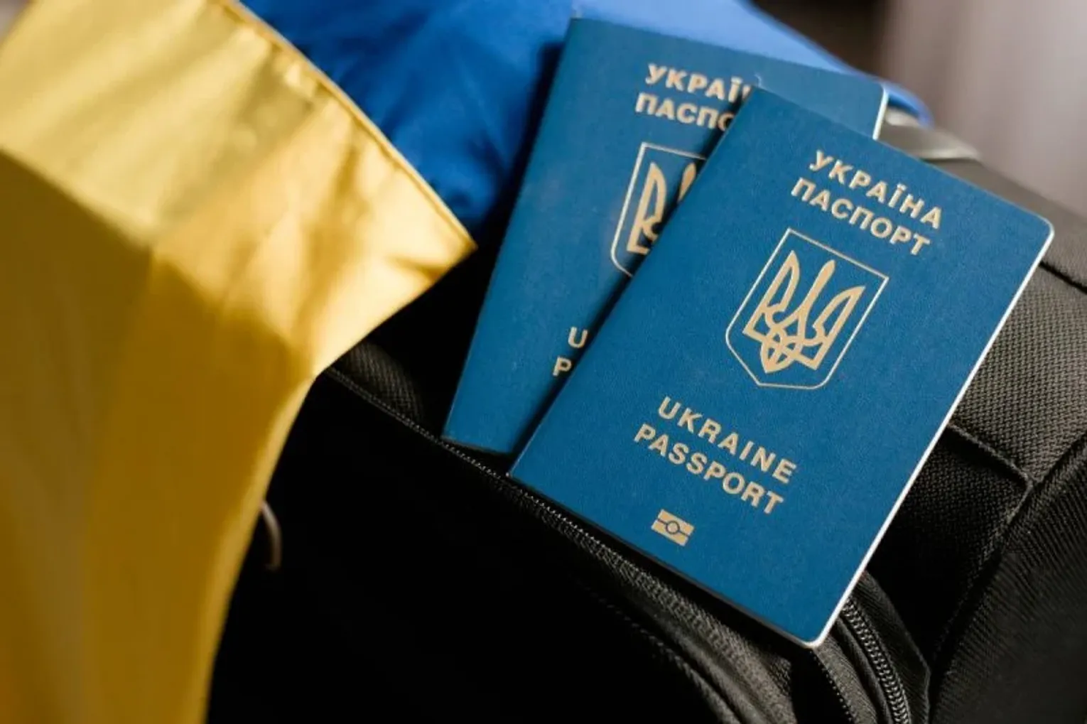 Кількість українських біженців у ЄС зростає: За пів року офіційний статус оформили 340 тисяч осіб